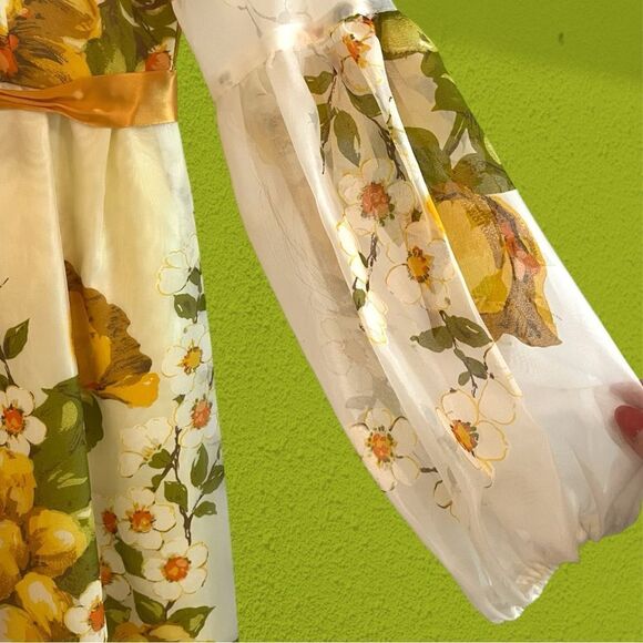 60s vintage Nu-Mode chiffon empire waist gown floral - Picture 7 of 16